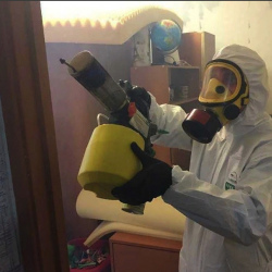 Уничтожение клопов в квартире. Ладожская